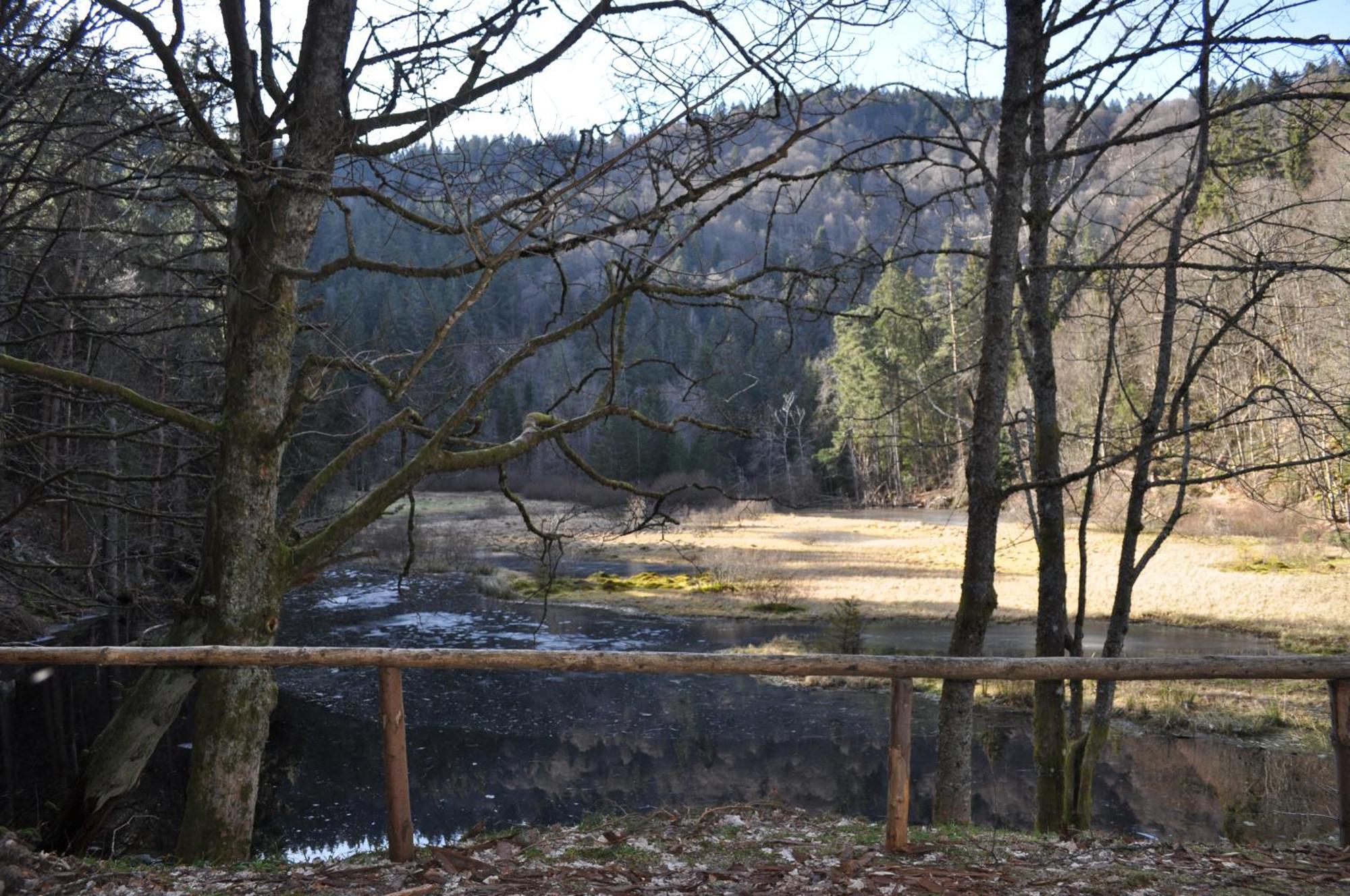 Auberge De L'Etang Du Devin Lapoutroie Dış mekan fotoğraf