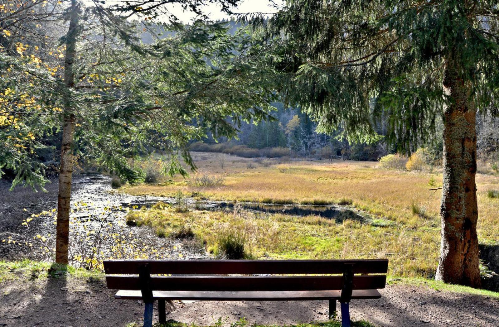 Auberge De L'Etang Du Devin Lapoutroie Dış mekan fotoğraf